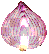 ONION 1